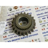 SPROCKET,21T REV 13W-W/BRG-ASSY